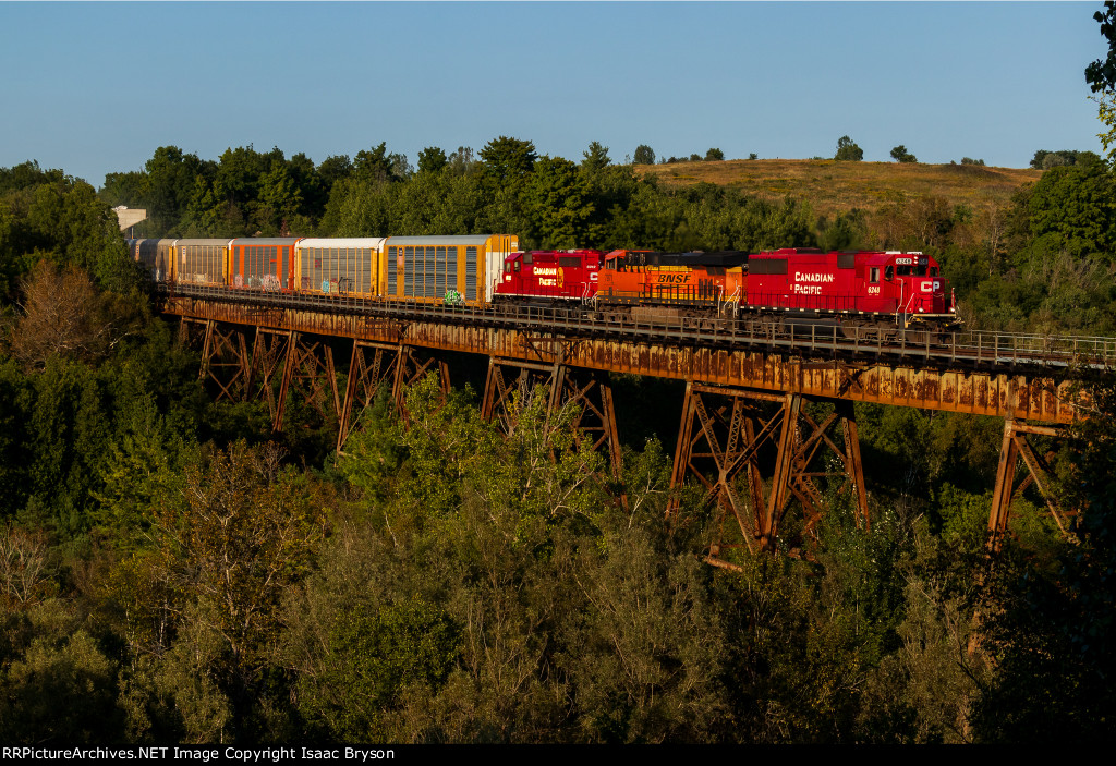 CP 6248